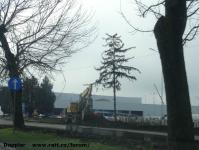 Imagine atasata: Shopping City Timisoara - 2015.11.23 - 04.jpg